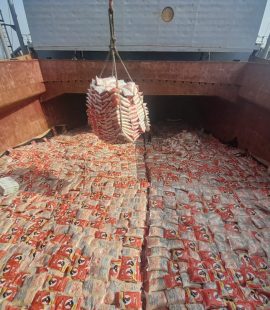 WhatsApp Image 2025-09-19 at 16.23.13_5fb8fbb6